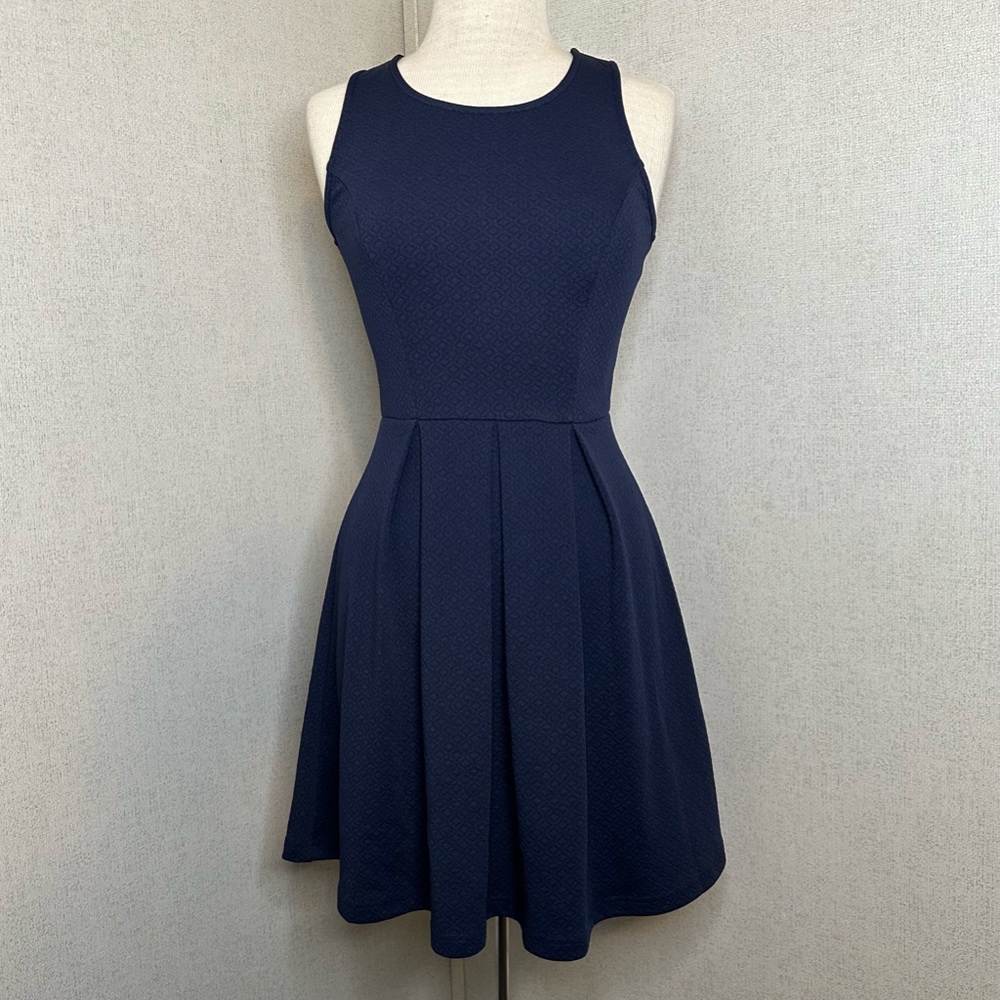 ezra Blue Sleeveless Dress NWOT